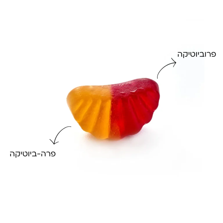פרוביוטיקה לעיכול ופרה ביוטיקה בגומי – היתרונות של GumBiotic