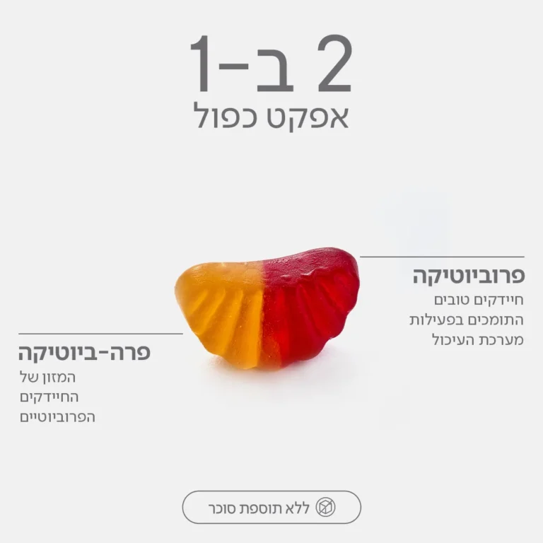 פרוביוטיקה + פרה-ביוטיקה בגומי לעיסה בטעם תות מנגו – גאמביוטיק